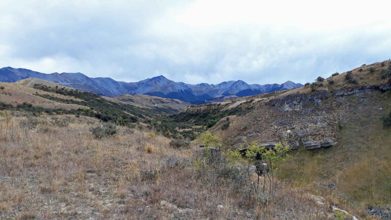 cave creek view 2 webop 768x432
