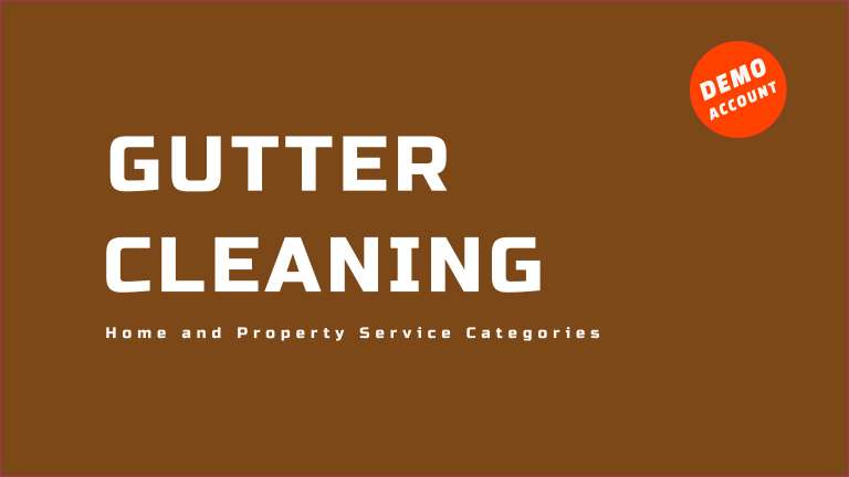 Gutter Cleaning Demo